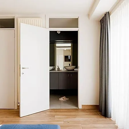 Paradisio By Wp